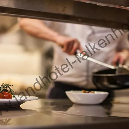 Falkenhof Hotell Haundorf